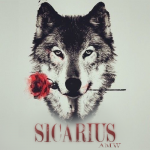 Sicarius